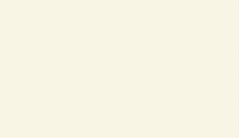 RAL 9010